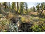 4520 Calaroga Dr - Photo 41