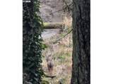 4520 Calaroga Dr - Photo 42