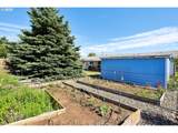 825 Maple Dr - Photo 40