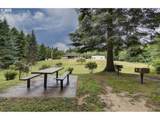 18229 Haven Acres Rd - Photo 42