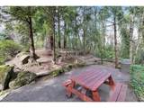6605 Burnside St - Photo 43