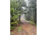  Forest Rod 2820 - Photo 1