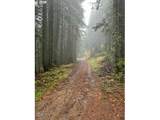  Forest Rod 2820 - Photo 12