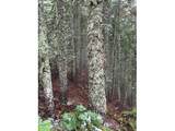  Forest Rod 2820 - Photo 3