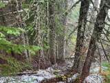  Forest Rod 2820 - Photo 5