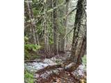  Forest Rod 2820 - Photo 6