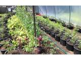 31450 Highway 101 - Photo 4