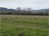 31450 Highway 101 - Photo 6