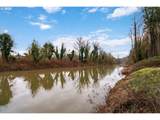 31616 Isle Way Ln - Photo 47