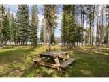 85 Diamond Lake Loop - Photo 15
