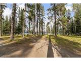 85 Diamond Lake Loop - Photo 16