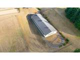 27520 Erickson Rd - Photo 43
