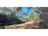 87977 Kelsie Way - Photo 8