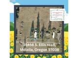 35458 Ellis Rd - Photo 1