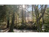 796 Lees Creek Rd - Photo 25
