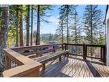 32365 Fork Rd - Photo 32