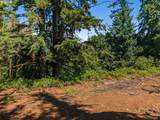 20802 Pumpkin Ridge Rd - Photo 12