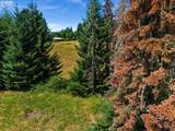 20802 Pumpkin Ridge Rd - Photo 9