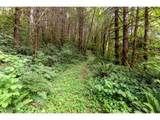  Armstrong Rd - Photo 15