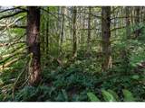 Armstrong Rd - Photo 16