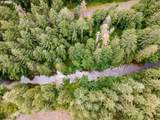  Sharps Creek Rd - Photo 4