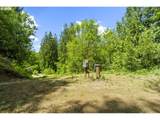 19005 Buncombe Hollow Rd - Photo 10