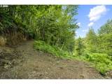 19005 Buncombe Hollow Rd - Photo 11