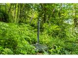 19005 Buncombe Hollow Rd - Photo 12