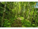 19005 Buncombe Hollow Rd - Photo 13