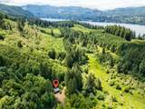19005 Buncombe Hollow Rd - Photo 15