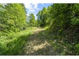 19005 Buncombe Hollow Rd - Photo 8