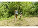 19005 Buncombe Hollow Rd - Photo 9