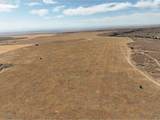  Uka Crider Valley Rd - Photo 17