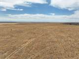  Uka Crider Valley Rd - Photo 21