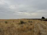  Uka Crider Valley Rd - Photo 36
