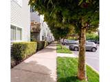 217 146TH Ave - Photo 3