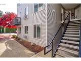 217 146TH Ave - Photo 5