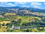 27241 Pederson Rd - Photo 44