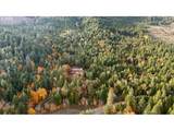 2358 Upper Cow Creek Rd - Photo 30