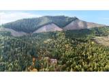 2358 Upper Cow Creek Rd - Photo 31