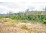 35220 Santiam Hwy - Photo 10