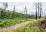 35220 Santiam Hwy - Photo 11