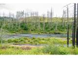 35220 Santiam Hwy - Photo 12