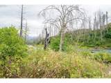 35220 Santiam Hwy - Photo 13