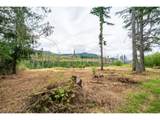 35220 Santiam Hwy - Photo 3