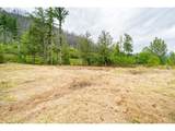 35220 Santiam Hwy - Photo 8