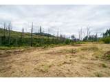 35220 Santiam Hwy - Photo 9