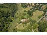 40920 Maple Ridge Rd - Photo 38