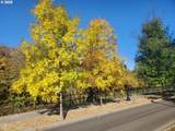  4th Ave - Photo 15