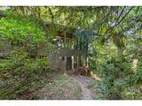 6831 Brownlee Rd - Photo 3